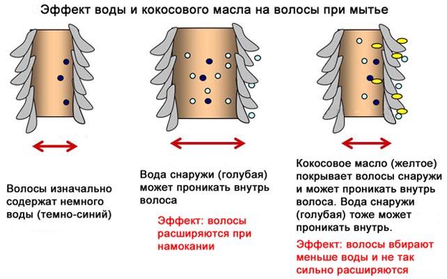 Принцип работы краски для волос